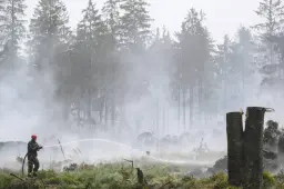 anp190826092 1