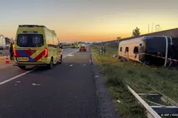 anp240826040 1