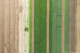 anp240826095 1