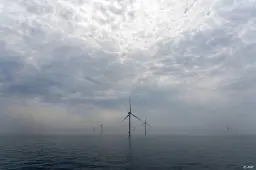 anp310826086 1