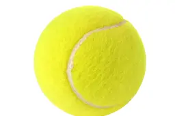 shutterstock_2664637949