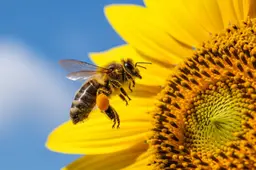 shutterstock_2668717245