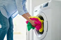 shutterstock_2739817947