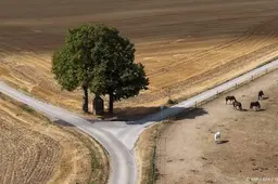 anp010926126 1