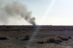 anp020926106 1