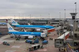 anp230926104 1