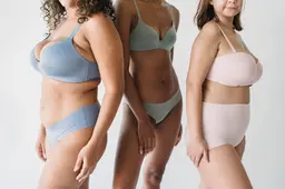pexels-antonius-ferret-5253436