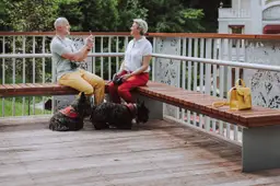Gelukkig volwassen stel rust op bankje in park
