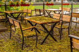het terras van het café is bedekt met bladeren.