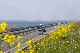 anp051026118 1