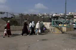 anp261026113 1