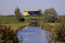 anp291026209 1