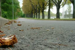 asfalt-herfst-715x405