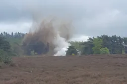 havelte bom holtingerveldclipboard01