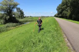 wdod voorjaarsinspectie dijkenjpg