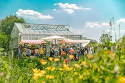 ruinerwold blauwe huis hbh open dag 1