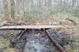 havelte holtingerpoort3