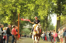 zorgvlied-ringsteken