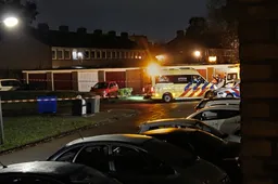 e6522c60-f4da-4e63-8a25-a889228c3f41