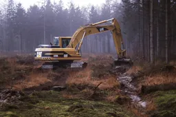 DWveld © A.A. Henckel - hydrologisch herstel Dwingelderveld