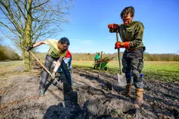 Darp Hoopheggen foto planten - liggend