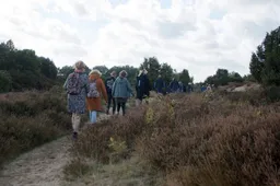 diever-singles-wandeling-2