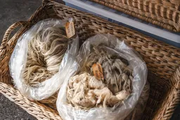 Ruinen Wol Drents heideschaap Brenda van de Wal