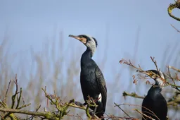 Wieden Natuurmonumenten-Henk Bergsma-4928x3264-MF06808