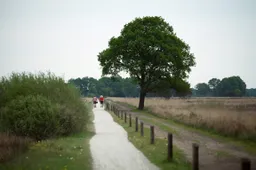 fcdw-annekehooijer-dwingelderveld-medium