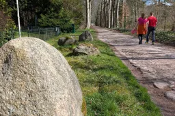 Hoogeveen keientocht wandelen