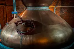 belgian owl stills