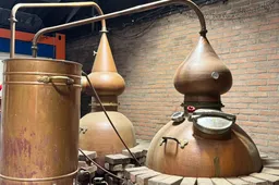 drumlin distillery