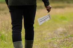 laphroaig walk flag