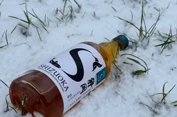 shizuoka united s first edition