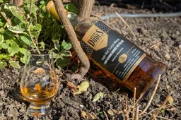 mannochmore 12 years whiskydudes review
