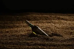 laphroaig cairdeas 2025 whisky in het graan