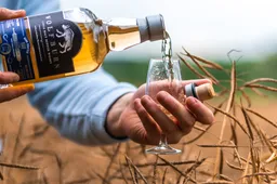 wolfburn langskip scotch single malt whisky with a tulip glass