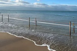 Scherm­afbeelding 2025-11-07 om 17.38.47