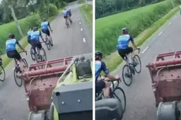 Schermopname_26-1-2026_103426_www.collage.nl_.jpeg