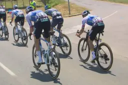 Evenepoel moet terugkomen na plaspauze in de Tour de France