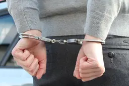 arrestatie police 2122373 1280