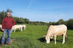 hero foto pn wijchen