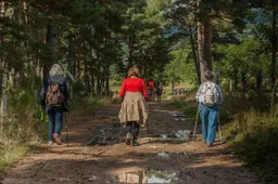 hikers 2713335 1280
