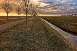 trees-7641737_1280