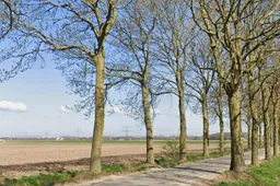 Essen Gordenaars Batenbirg