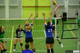 Trivos D1 Vocasa D2-web-38