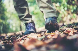 close-up-adventure-woman-feet-walk-mountain-path