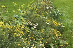 Scherm­afbeelding 2025-12-10 om 23.34.59