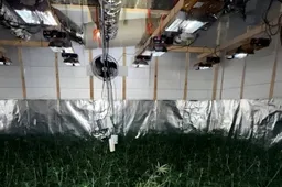 Goed Scherm­afbeelding 2026-02-18 om 11