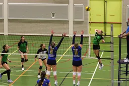 5e596b48-1929-4cc8-bdec-a78e3bfeb3a7-copied-media~2